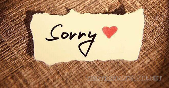 những lời xin lỗi chân thành