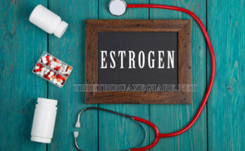 Estrogen là gì?