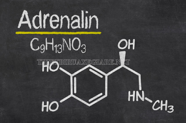 Công thức hóa học của Adrenalin